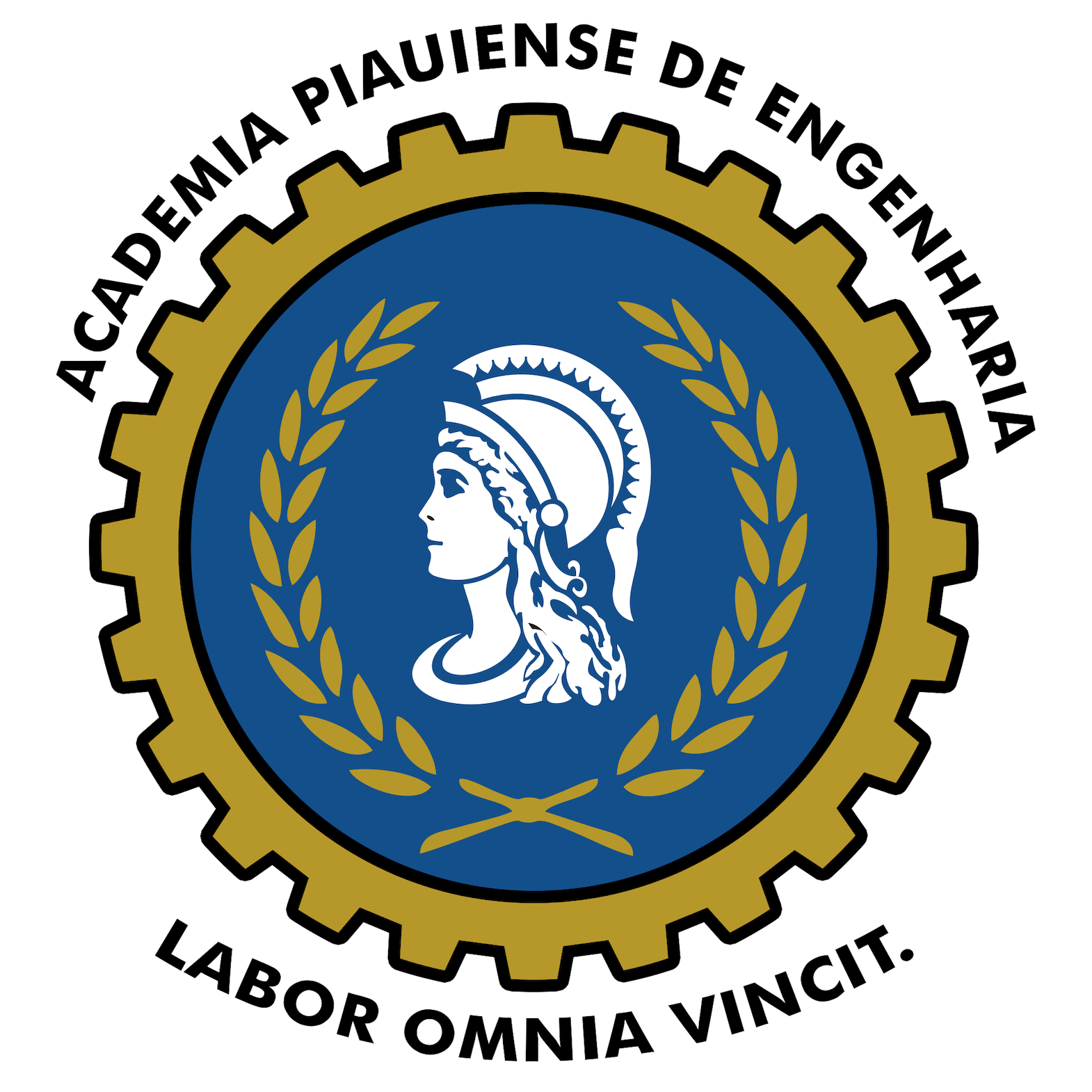 Academia Piauiense de Engenharia